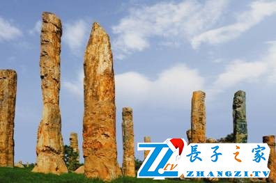 仙翁山木化石森林公园