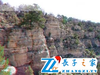 仙翁山木化石森林公园 仙翁山木化石森林公园